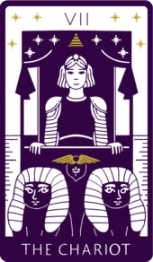 card-19